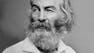 The American Renaissance and Walt Whitman