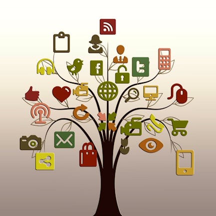 Java Programming: Build a Recommendation System