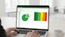 Business Intelligence & Data Visualization in Excel