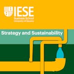 Strategy and Sustainability 