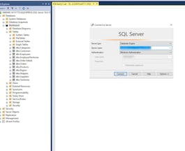 SQL for Beginners: Querying Data