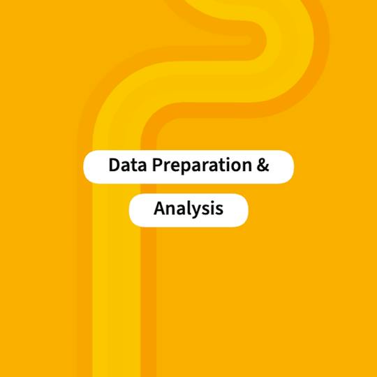 Portada: Data Preparation and Analysis