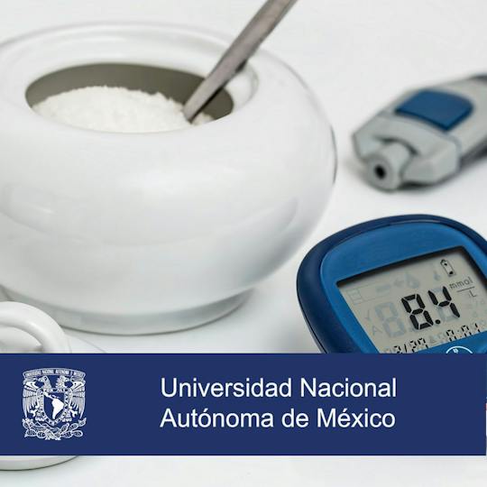 Portada: Actualización en el manejo del paciente con diabetes mellitus tipo 2