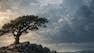 Creative Effects and Artistic Compositions in Photoshop