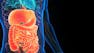 Digestion, Micturition, and Reproduction