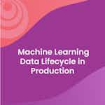 Machine Learning Data Lifecycle in Production by DeepLearning.AI