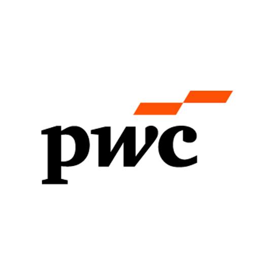 Portada: Habilidades de análisis de datos y presentación: el enfoque de PwC Proyecto final