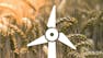 Renewable Energy Projects