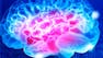 Introducción a la Neurociencia