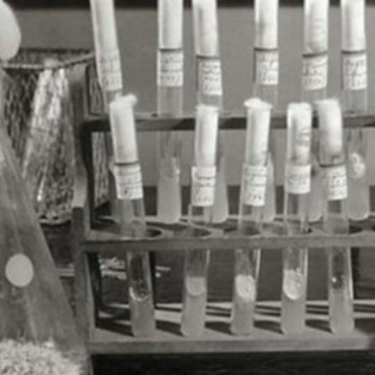 Portada: Administración de antibióticos