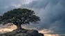 ROS 2 Foundations: Architecture, Programming & Core Concepts