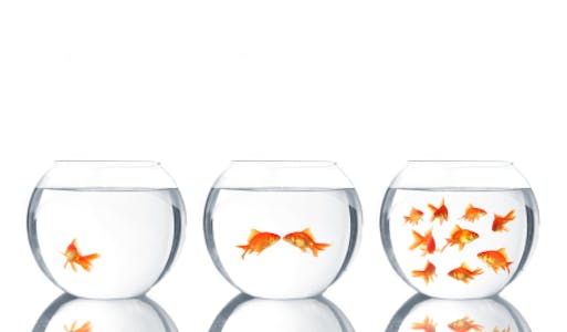 Introduction to Psychology image