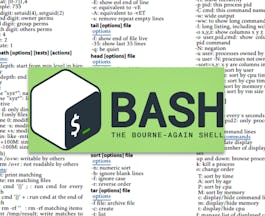 Scripting Bash - Découverte du Langage de Programmation