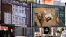 MAYA Architecture - Lighting and Rendering with Mental Ray