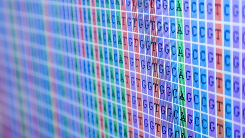 Portada: Métodos bioinformáticos I