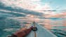 Thriving 101: Designing a Fulfilling Life & Career