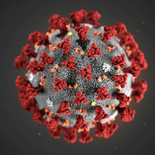 Portada: La ciencia importa: Hablemos de COVID-19