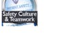 Setting the Stage for Success: An Eye on Safety Culture and Teamwork (Patient Safety II)