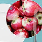 The New Nordic Diet - from Gastronomy to Health image