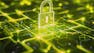 Managing and Optimizing SD-Branch Networks