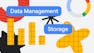 Data Management and Storage in the Cloud