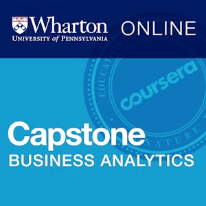 Business Analytics Capstone image