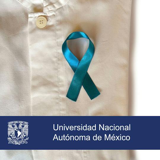 Portada: Cáncer de próstata