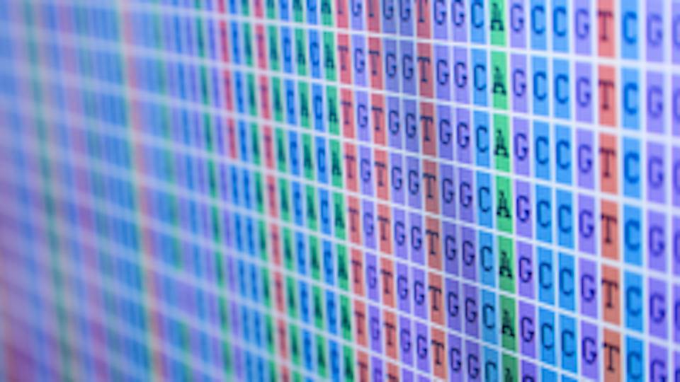 Portada: Métodos bioinformáticos II
