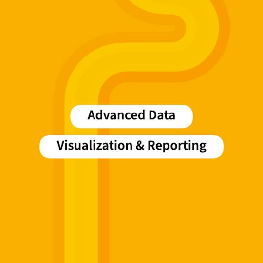 Portada: Advanced Data Visualization and Reporting