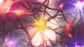 Free Will and Neuroscience