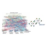 Introduction to Systems Biology image