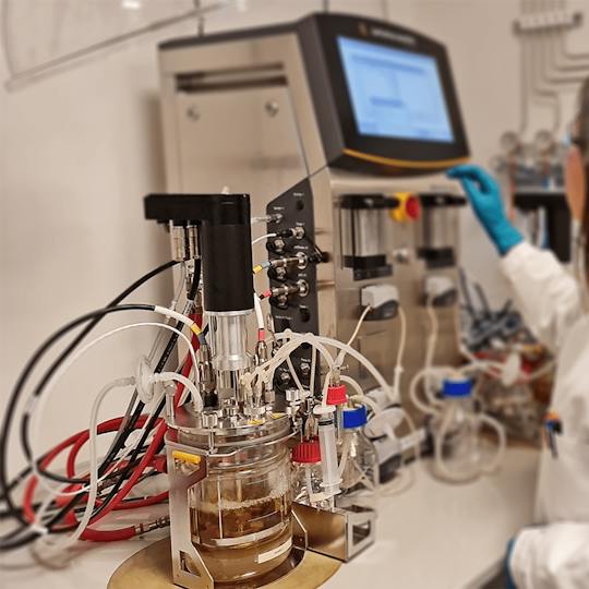 Portada: Introducción al desarrollo de bioprocesos industriales