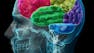 The neuropsychology of decision making