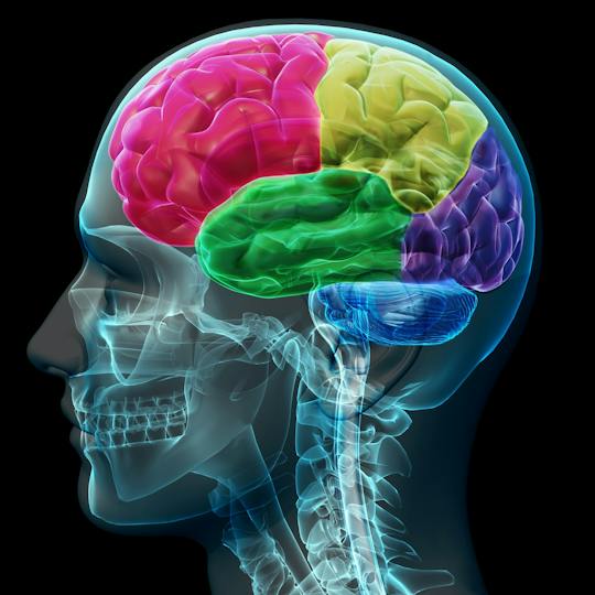 Portada: The neuropsychology of decision making