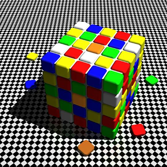 Portada: Visual Perception and the Brain
