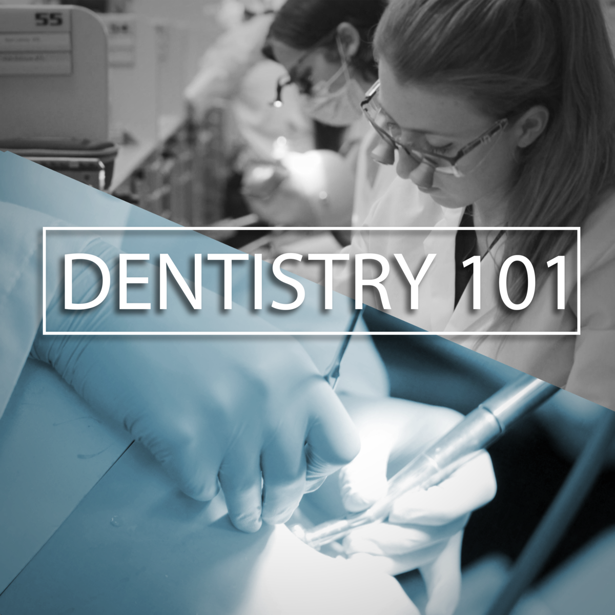 Best Dental Courses Online With Certificates [2024] | Coursera