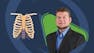 Introduction to Anatomy and Physiology
