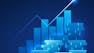 Advanced Credit Risk Modeling - IT Sector