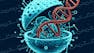 Engineering Genetic Circuits: Design