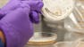 Preclinical Safety
