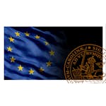 European Business Law: Understanding the Fundamentals image