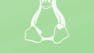 SUSE Linux Enterprise Server 16: Networking & Automation