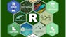 R Programming and Tidyverse Capstone Project