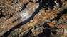 Raster Processing & Remote Sensing
