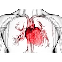 Vital Signs: Understanding What the Body Is Telling Us image