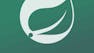 Advanced Spring Security Authentication & Access