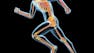 Inquiries Into Bipedalism