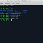 Command Line in Linux by Coursera Project Network