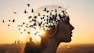 Neurodiversity in the Workplace