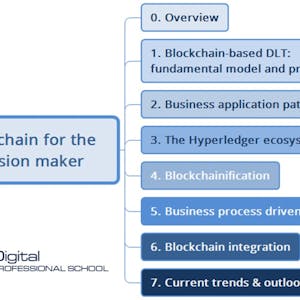 Blockchain for the decision maker 